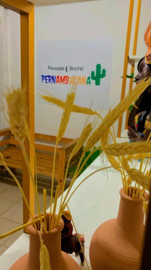 Pousada E Hostel Pernambucana Recife Kültér fotó