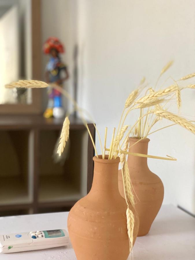Pousada E Hostel Pernambucana Recife Kültér fotó
